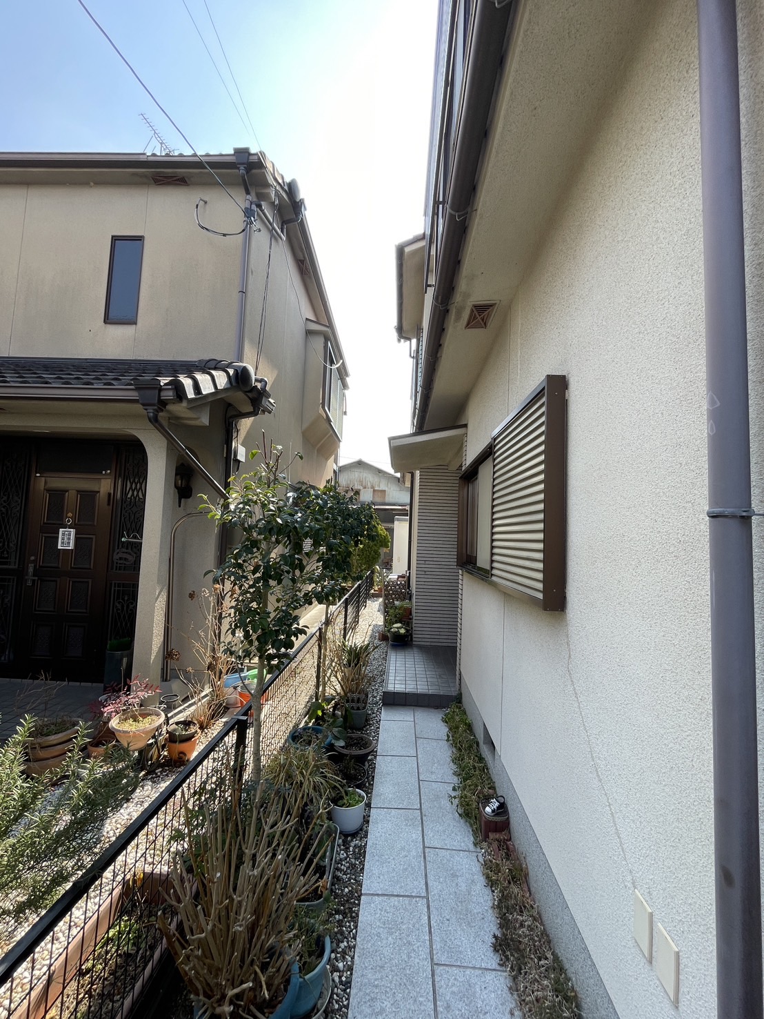 S__49807390_0